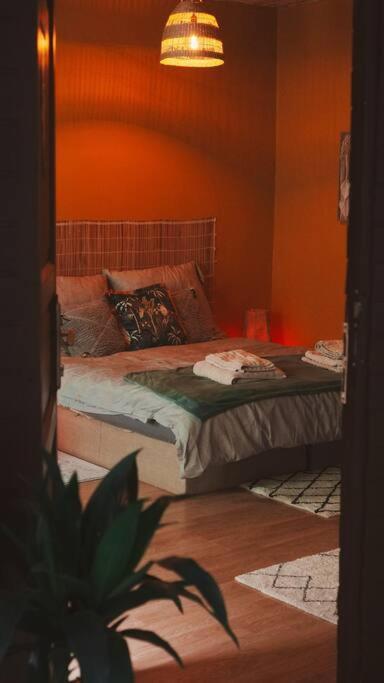 Sahara Studio With Shared Bathroom In City Centre Bratislava Exteriör bild