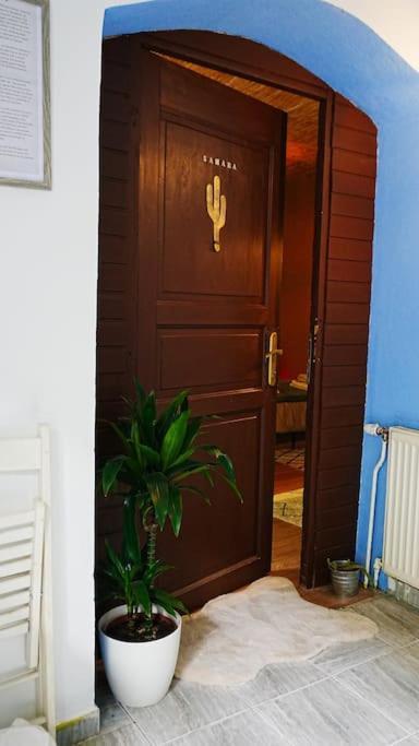 Sahara Studio With Shared Bathroom In City Centre Bratislava Exteriör bild